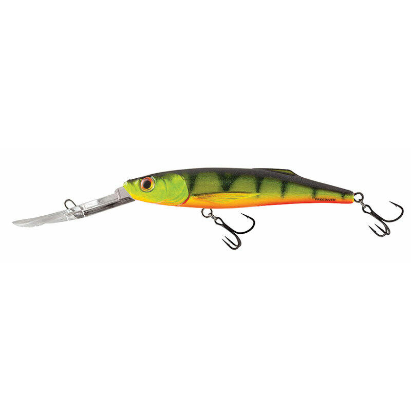 SALMO picture