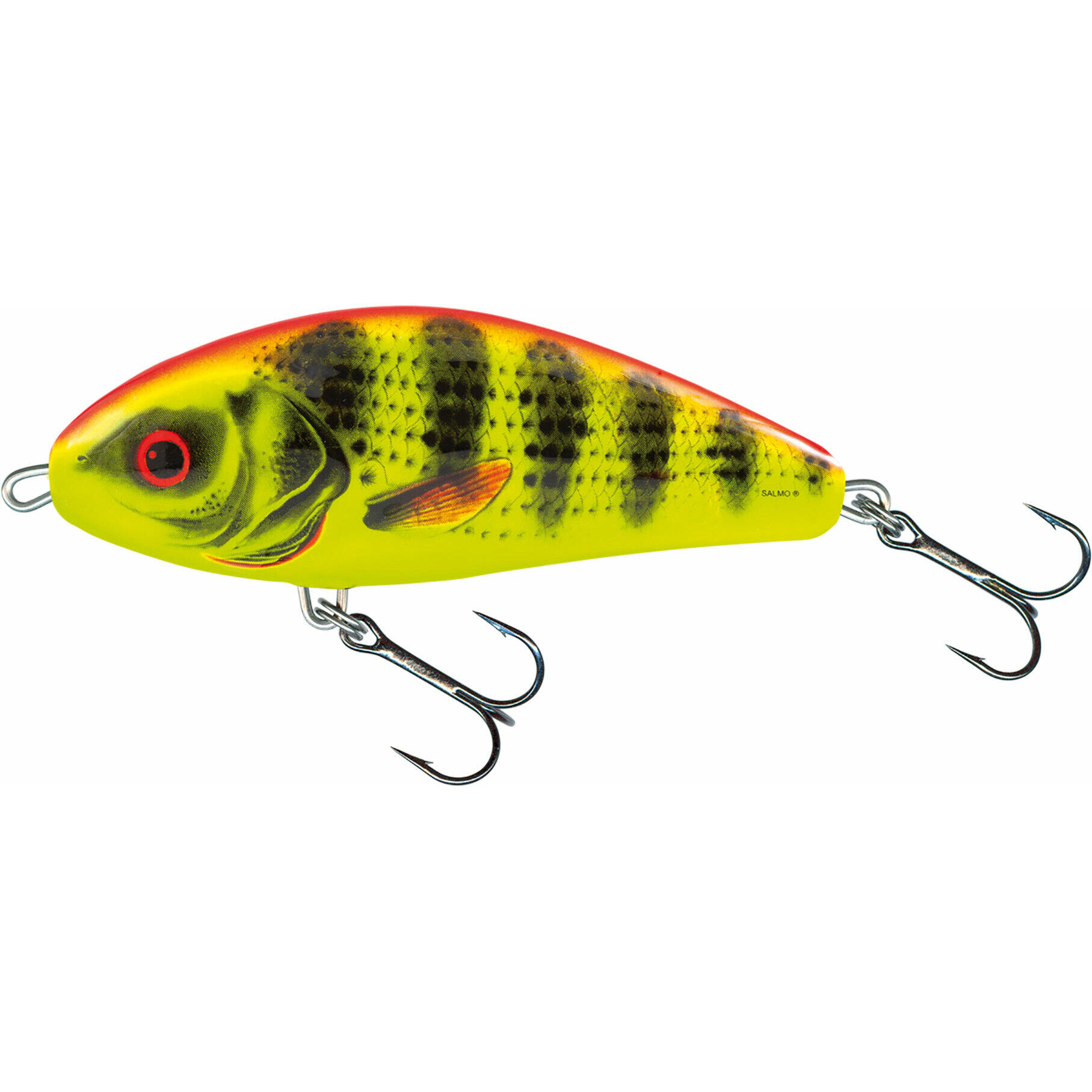 SALMO picture