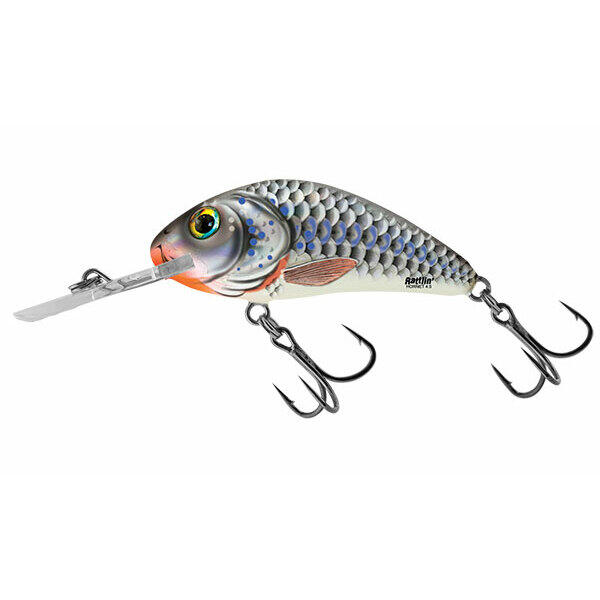 SALMO picture
