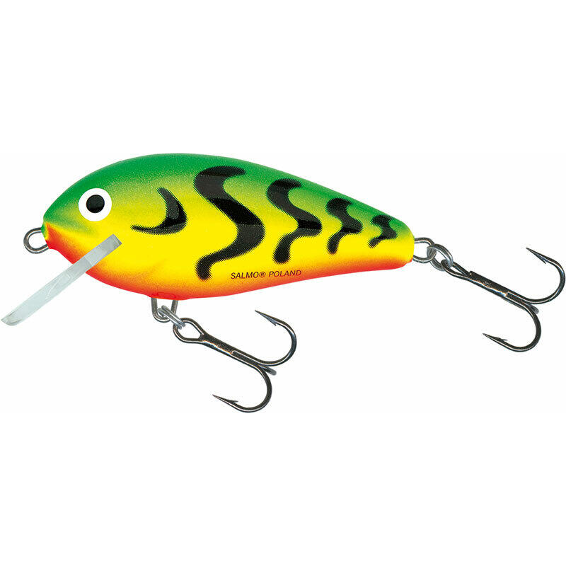 SALMO picture