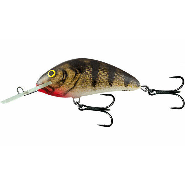 SALMO picture