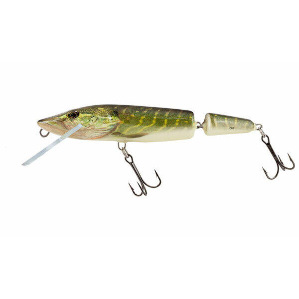 SALMO picture
