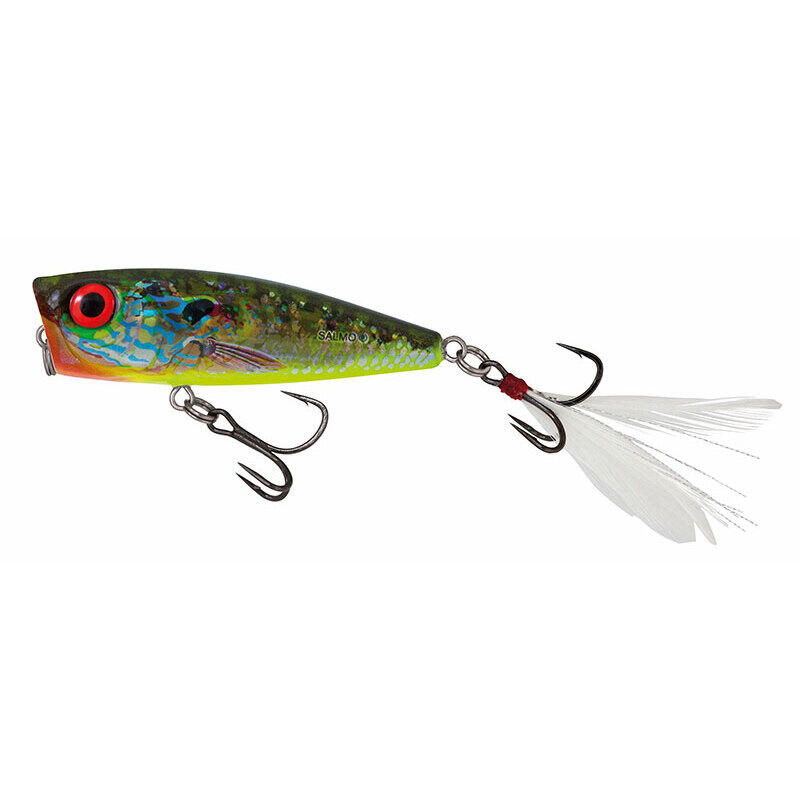 SALMO picture