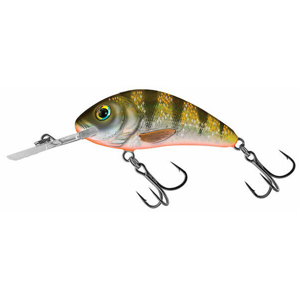 SALMO picture