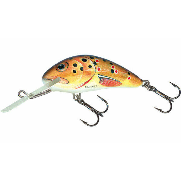 SALMO picture