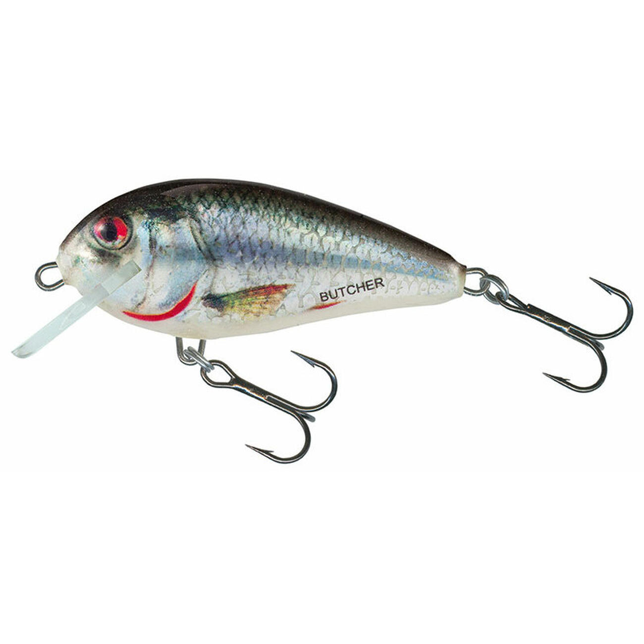 SALMO picture