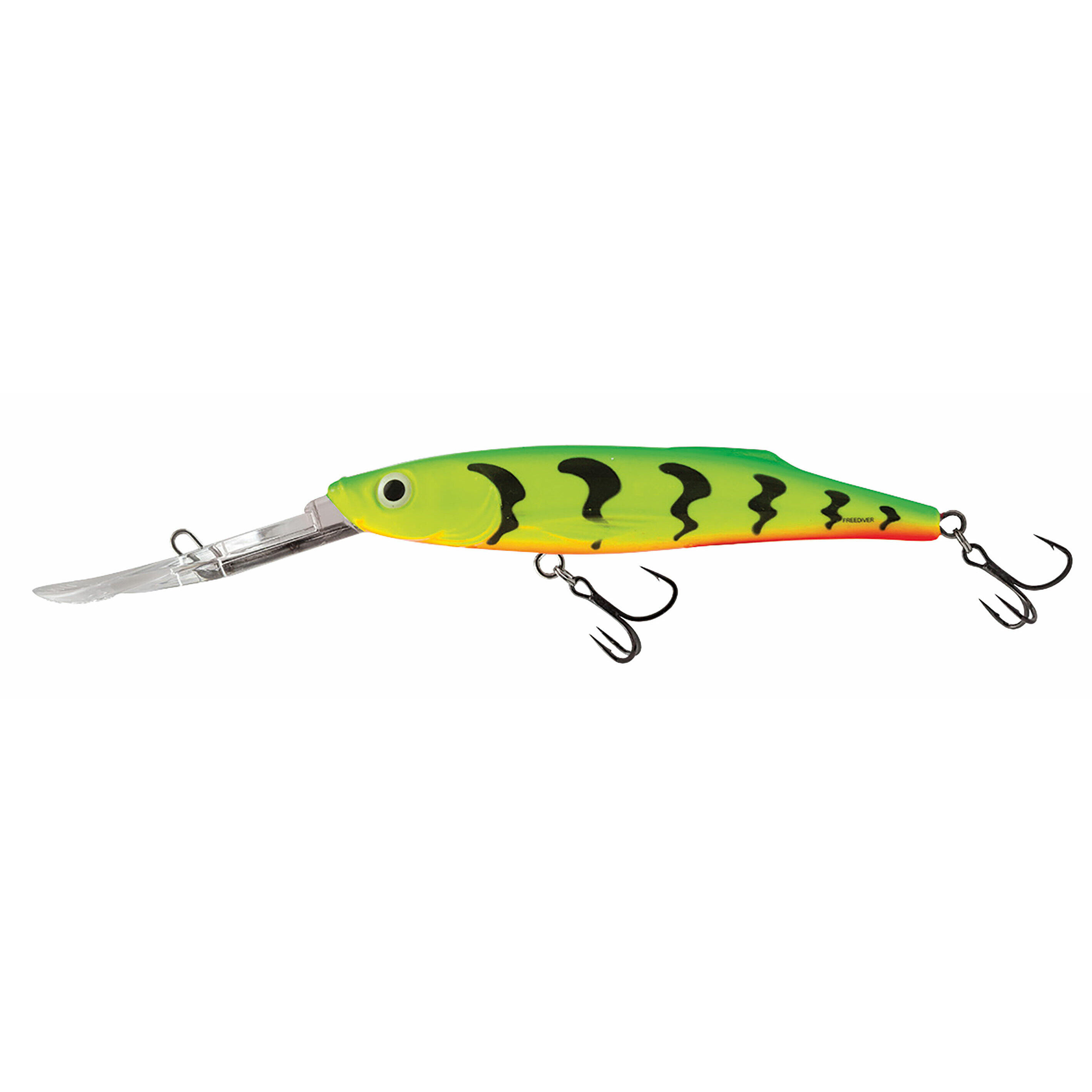 SALMO picture