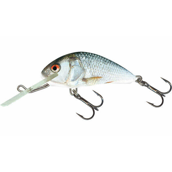 SALMO picture
