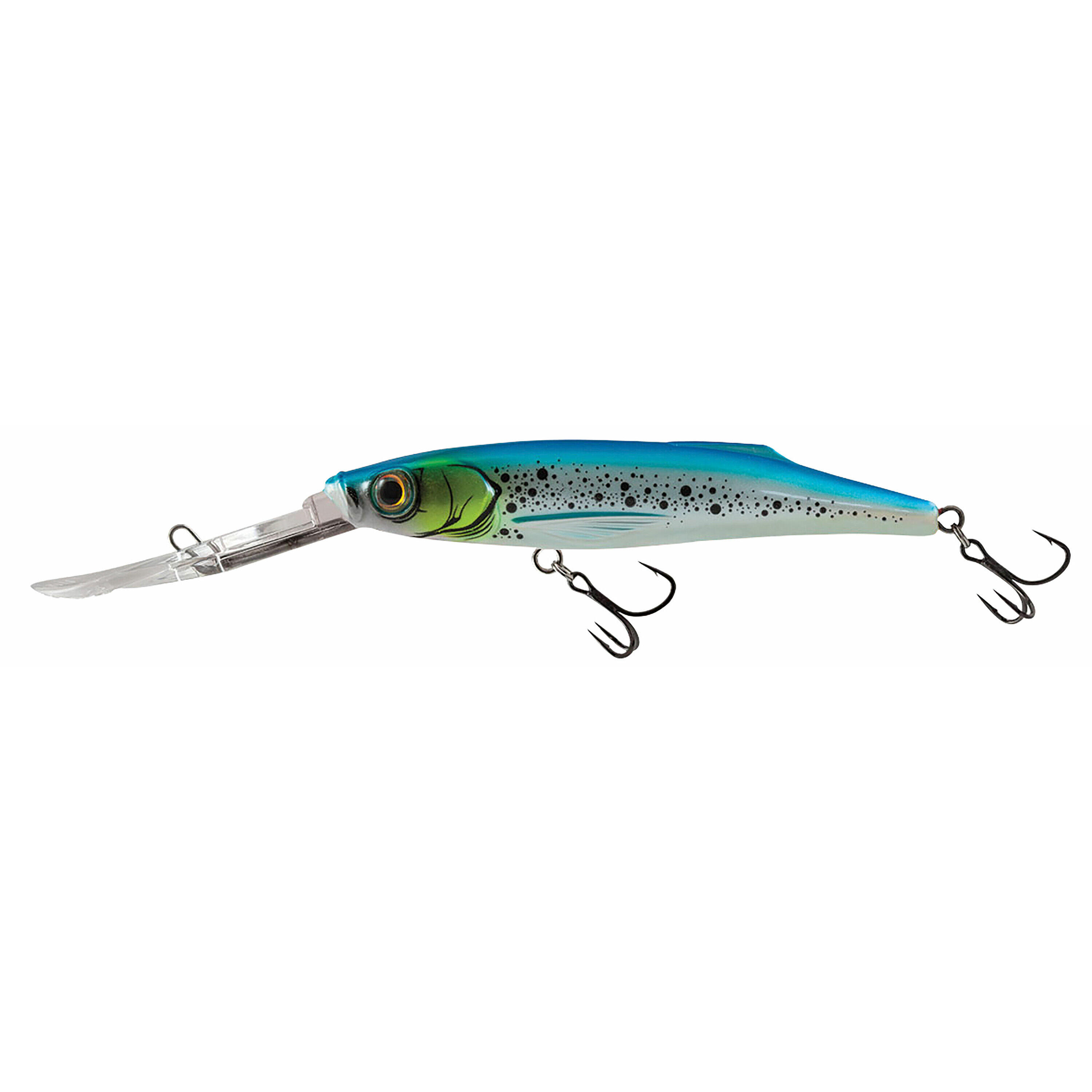 SALMO picture
