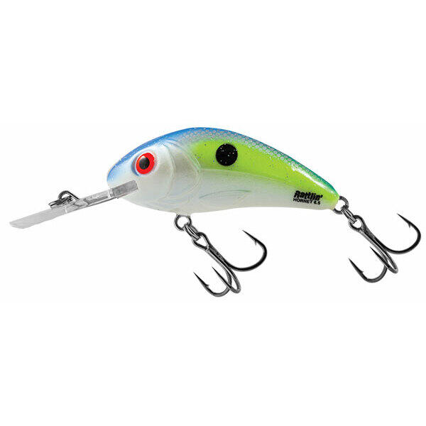 SALMO picture