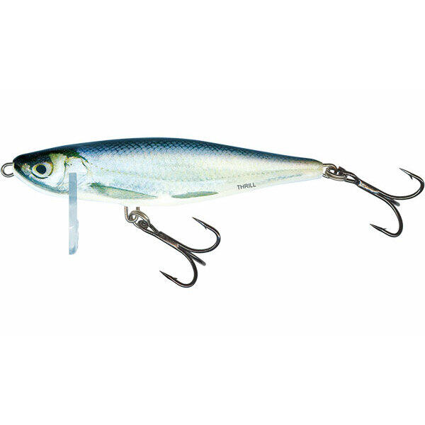 SALMO picture