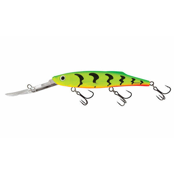 SALMO picture