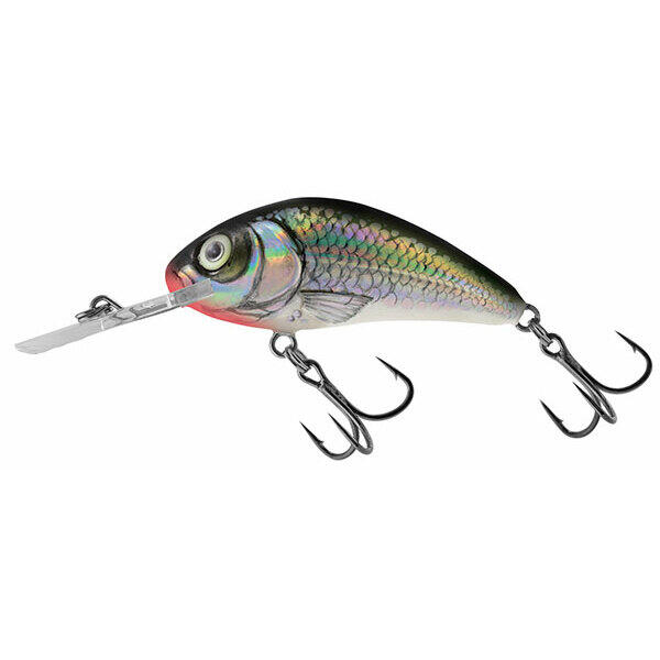 SALMO picture
