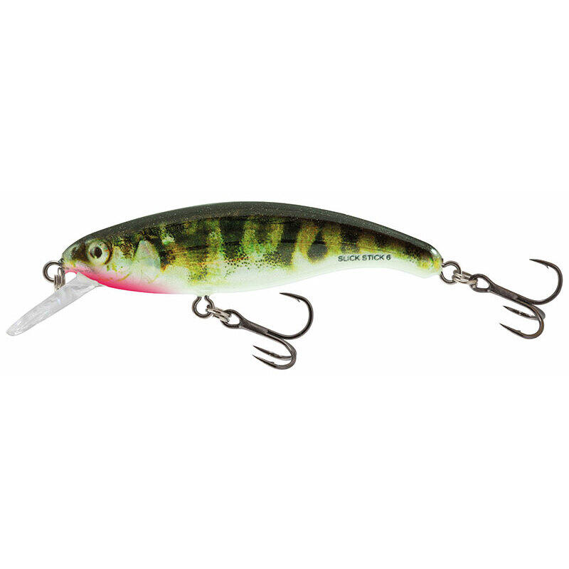 SALMO picture