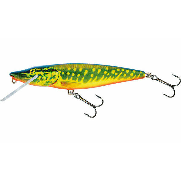 SALMO picture