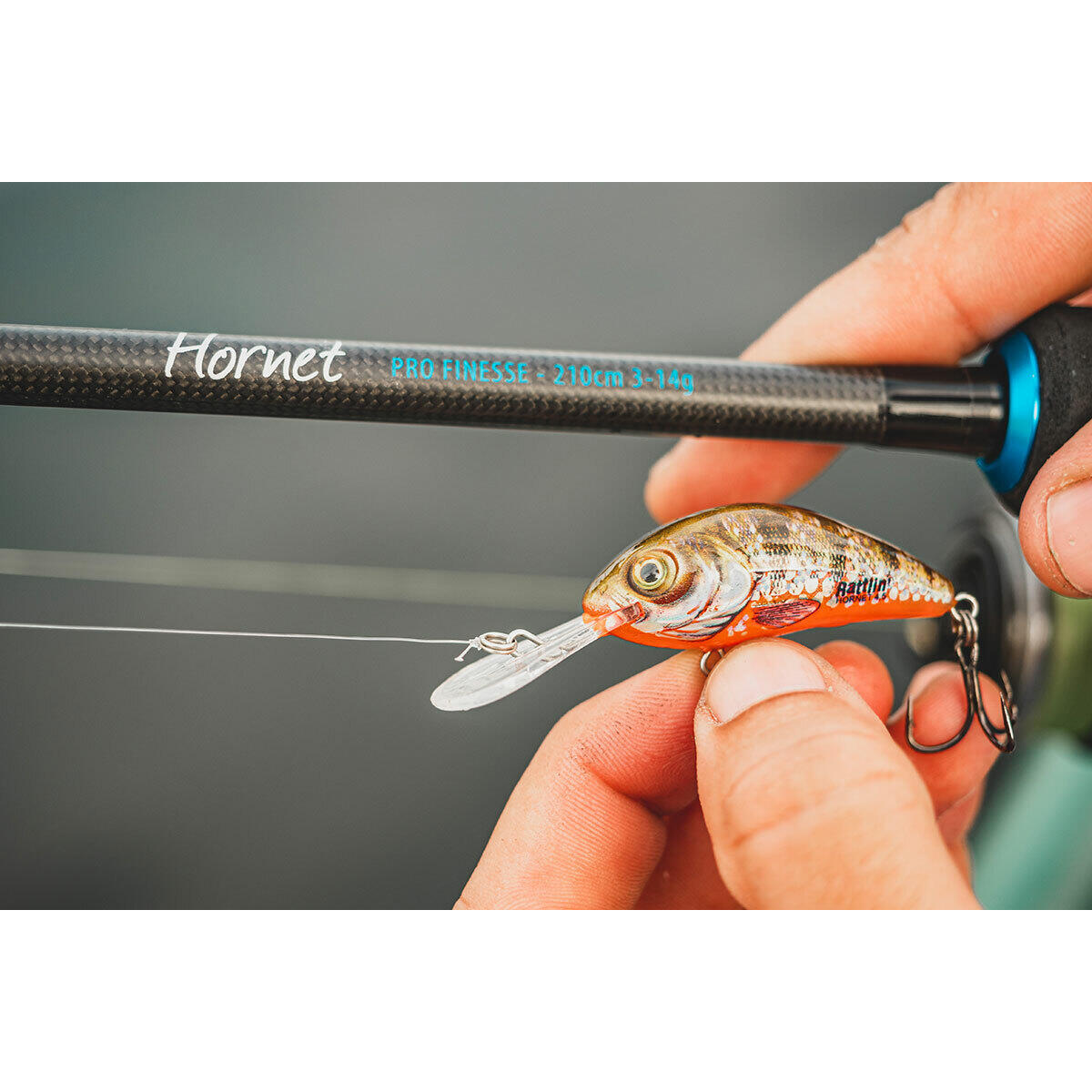 Caña de pescar Salmo Hornet Pro Finesse 2/4