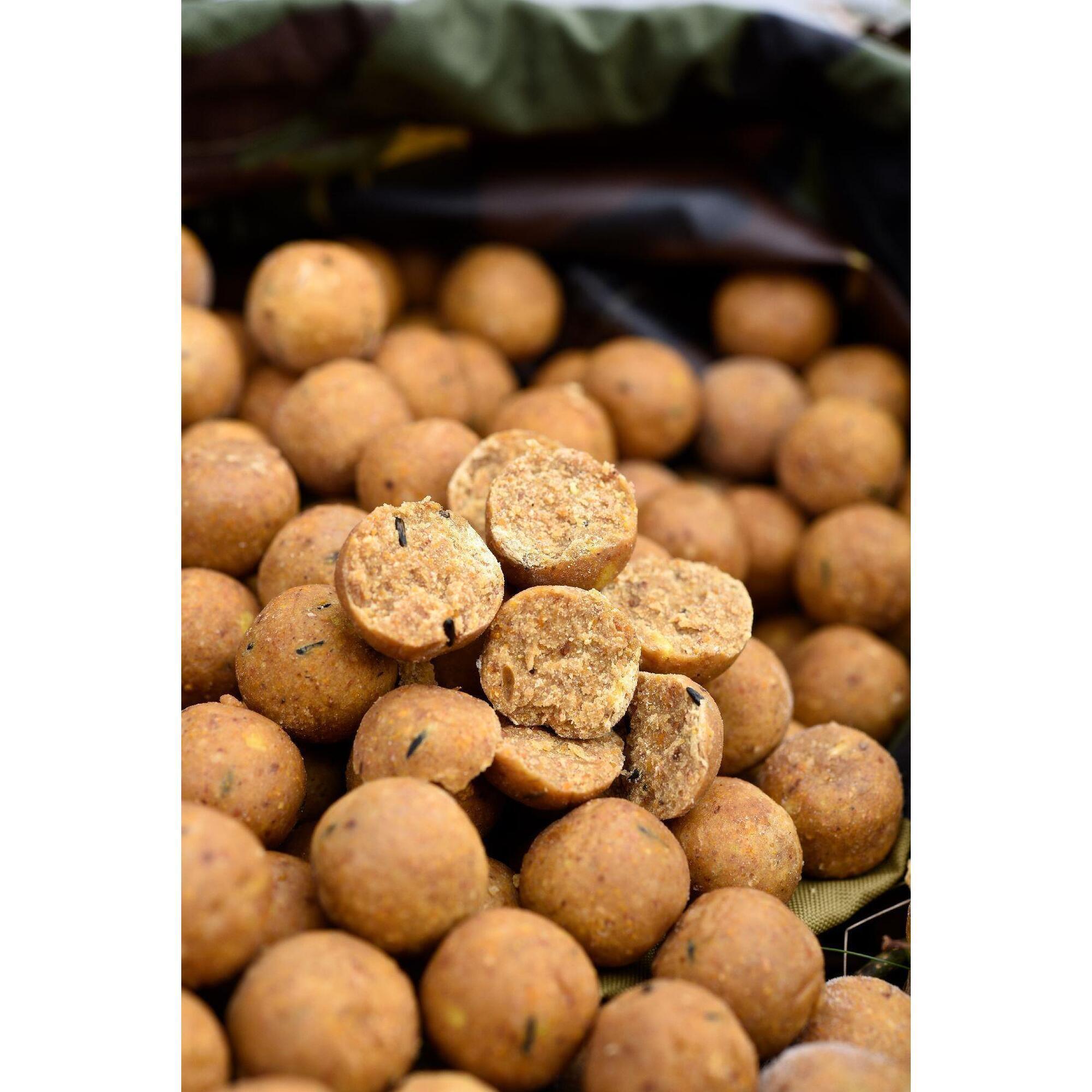 CC MOORE CC Moore Live System Shelf Life 24Mm 5Kg - Karper Boilies
