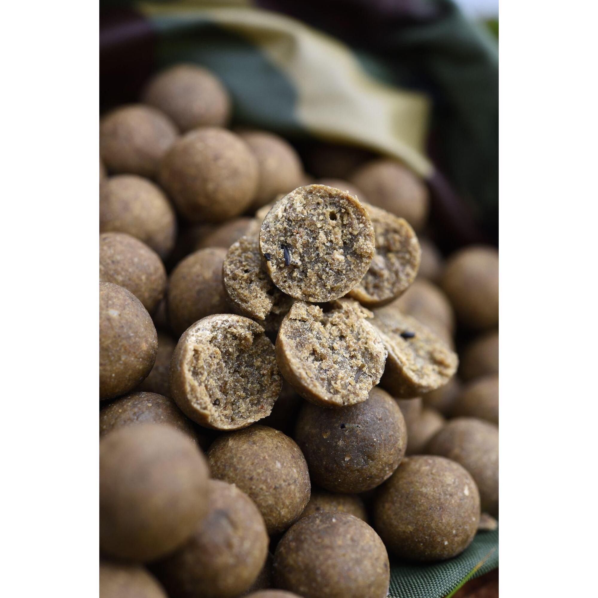 CC MOORE CC Moore Odyssey XXX Shelf Life 15mm 5kg - Karper Boilies