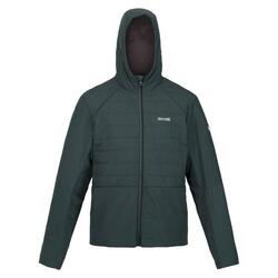 Chaqueta Daxford para Hombre Aguilones Verdes