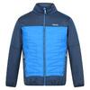 Veste isolée CLUMBER Homme (Bleu nuit / Bleu vif)