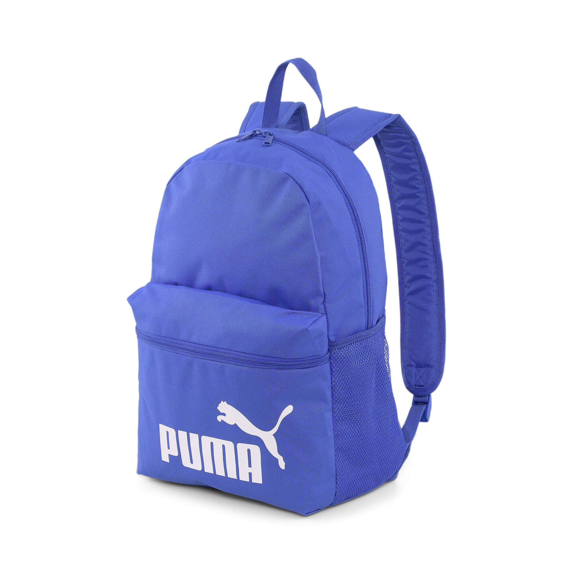 PUMA picture