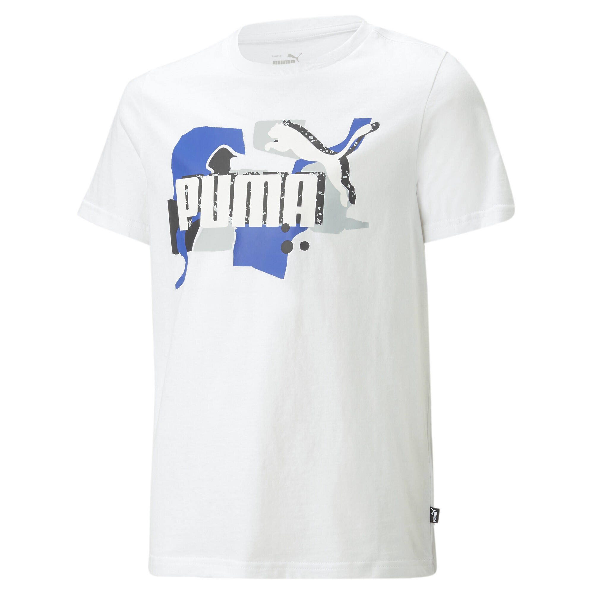 PUMA picture