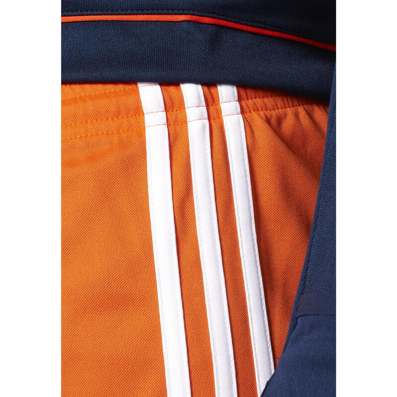 Short Adidas Squad 17 Adulte