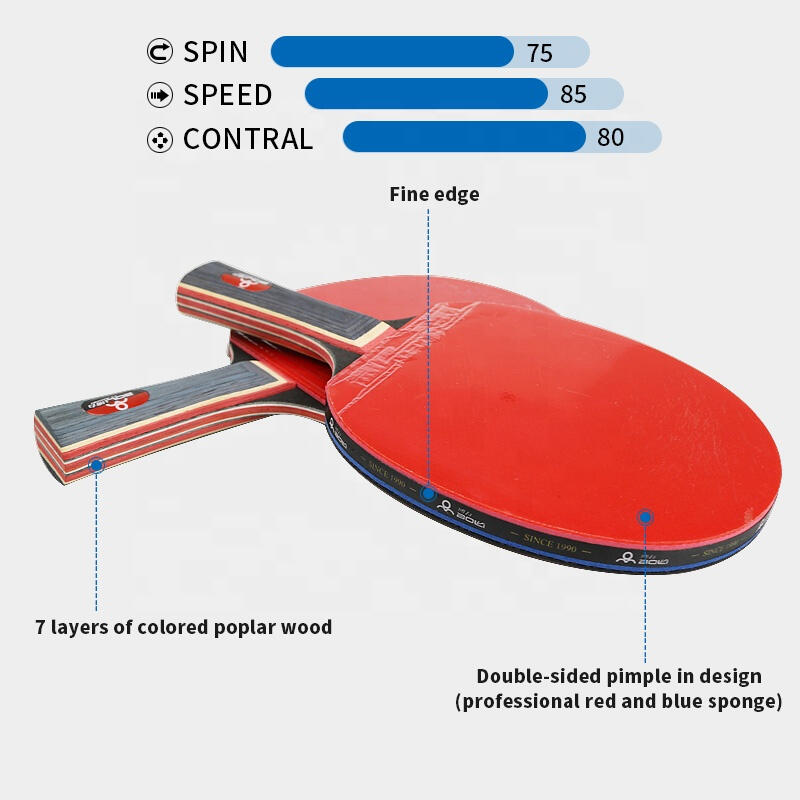 Set complet de ping pong cu 2 palete tenis de masa, fileu retractabil, 4 mingi s