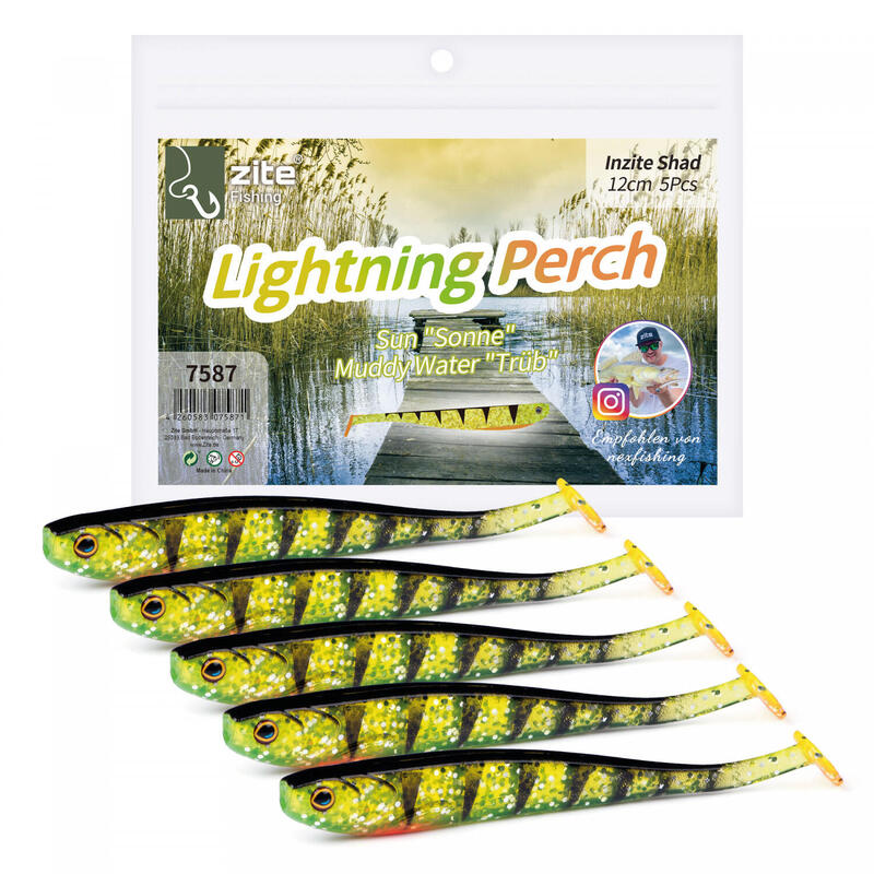 Gummifisch Zander Angeln Inzite Shad Set 5 STK 12cm UV Aktiv Lightning Perch