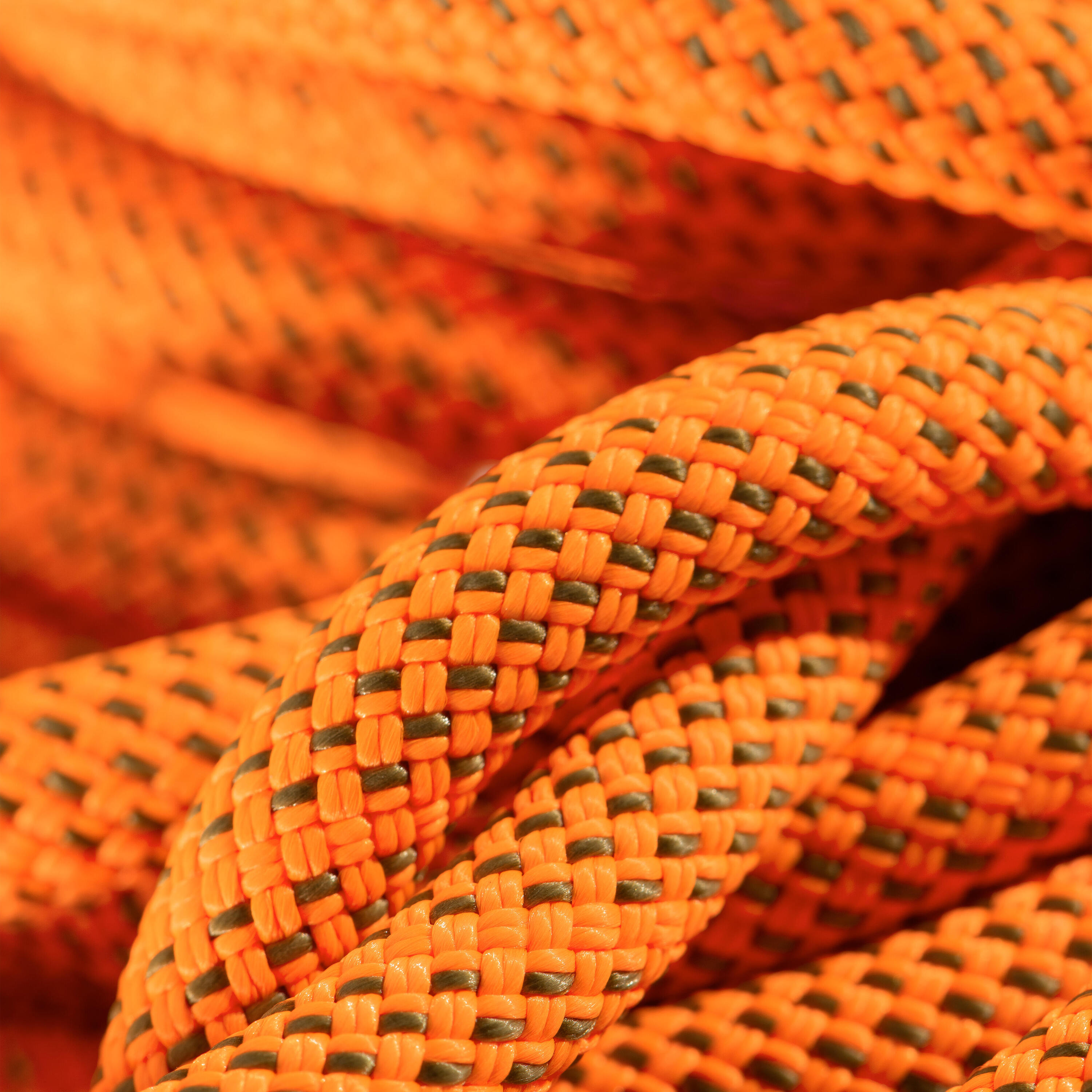 Crag Dry Single Rope 9.8 mm x 60m - Orange 3/4