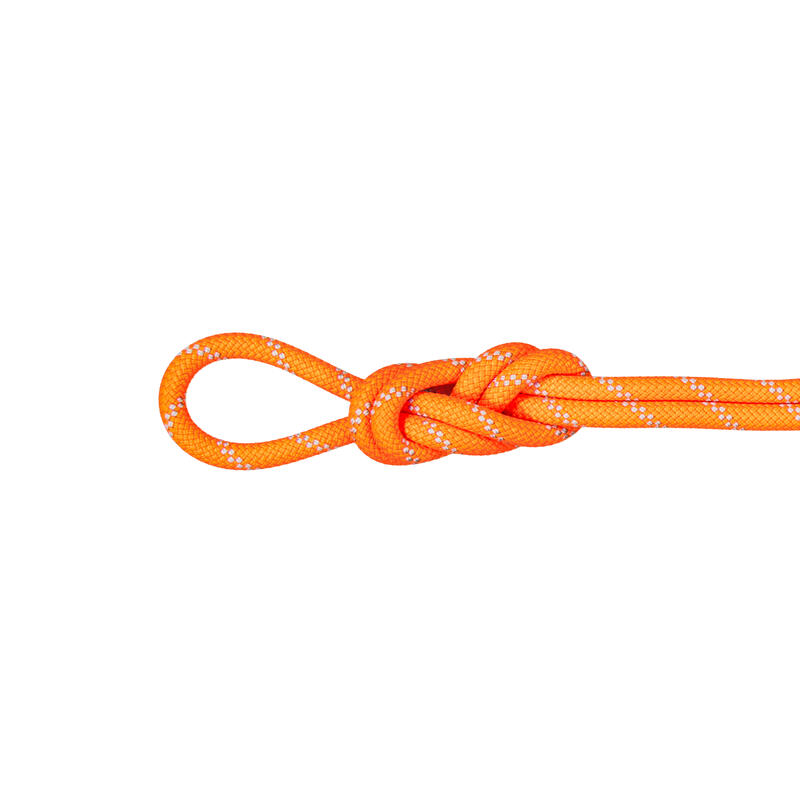 Einfachseil 9.5 Alpine Dry Rope safety orange-zen