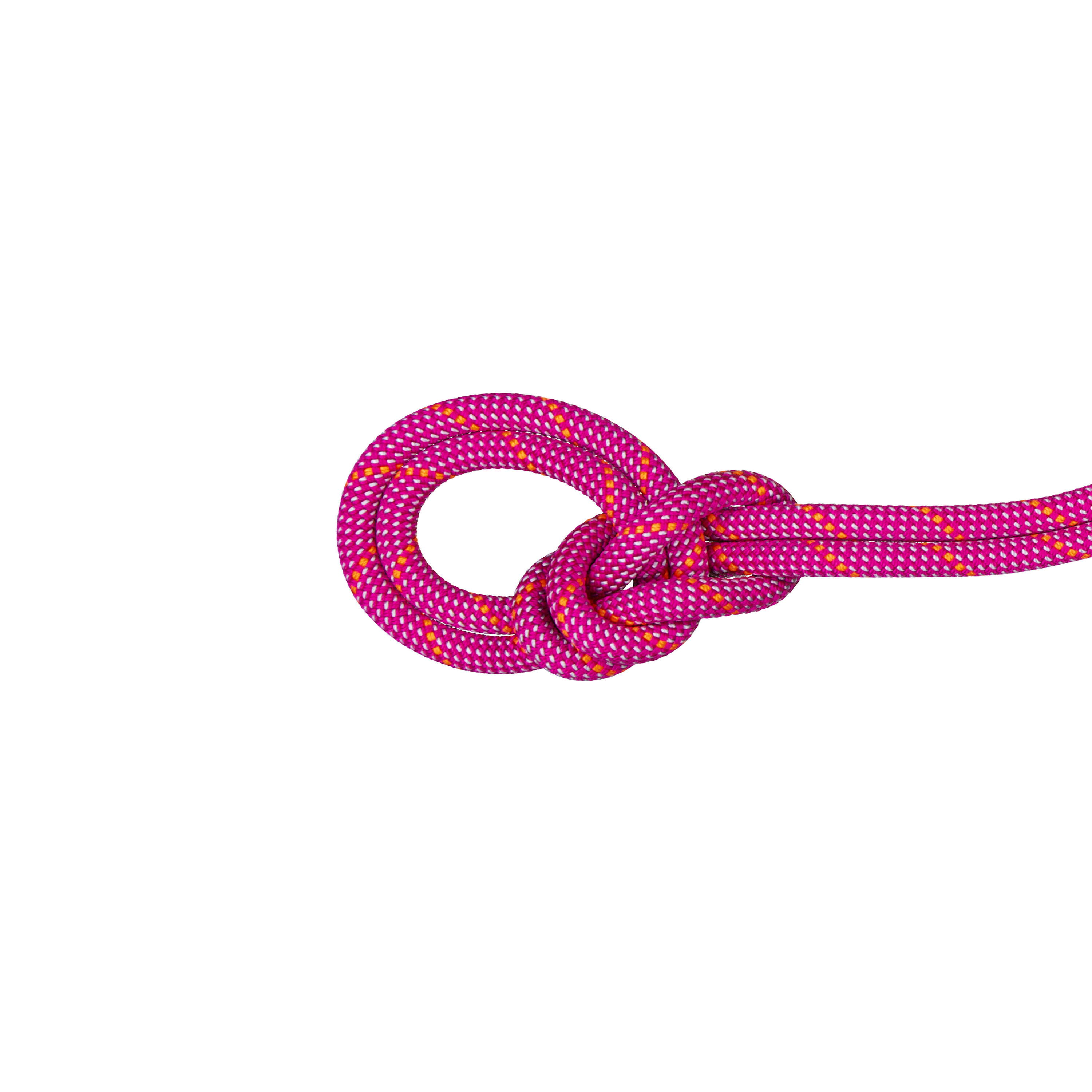 MAMMUT Crag Dry Single Rope 9.5 mm x 70m - Pink