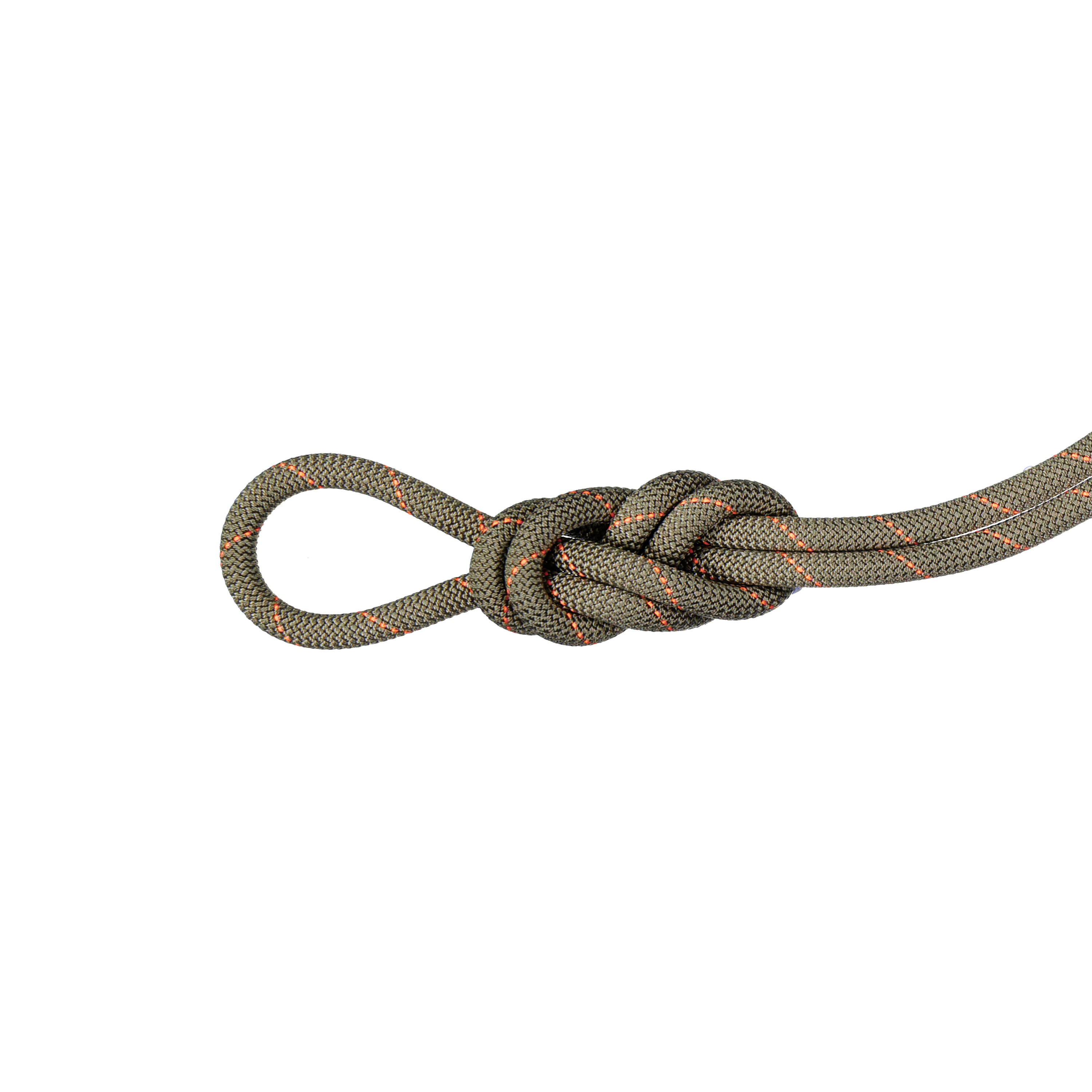 MAMMUT Gym Workhorse Classic Single Rope 9.9 mm x 40m - Olive