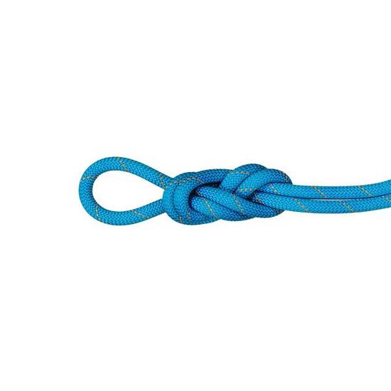 Einfachseil 9.9 Gym Workhorse Dry Rope ocean-vibrant orange