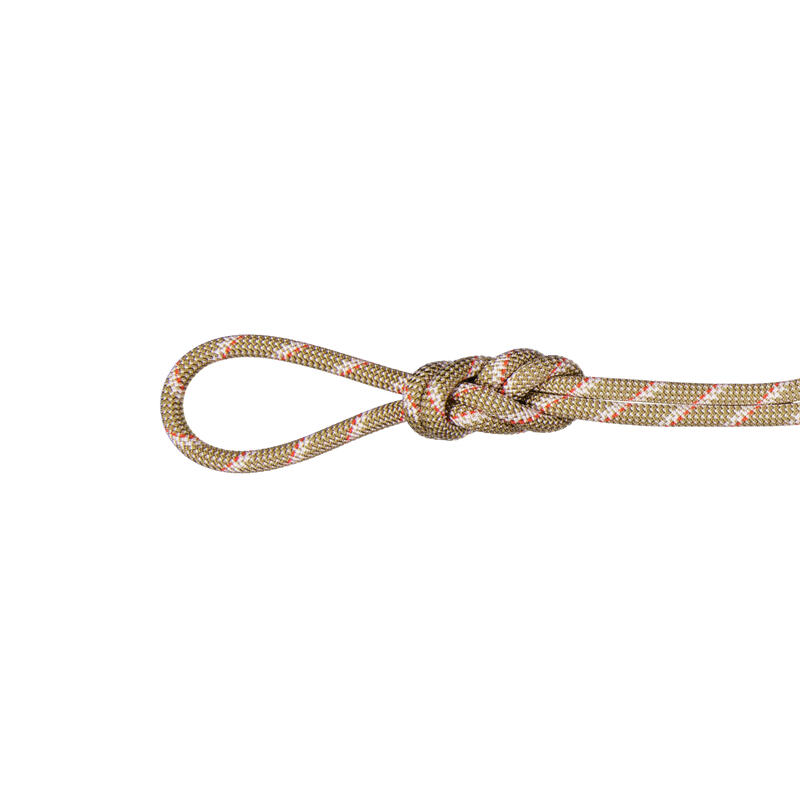 Zwillingsseil 8.0 Alpine Classic Rope boa-white