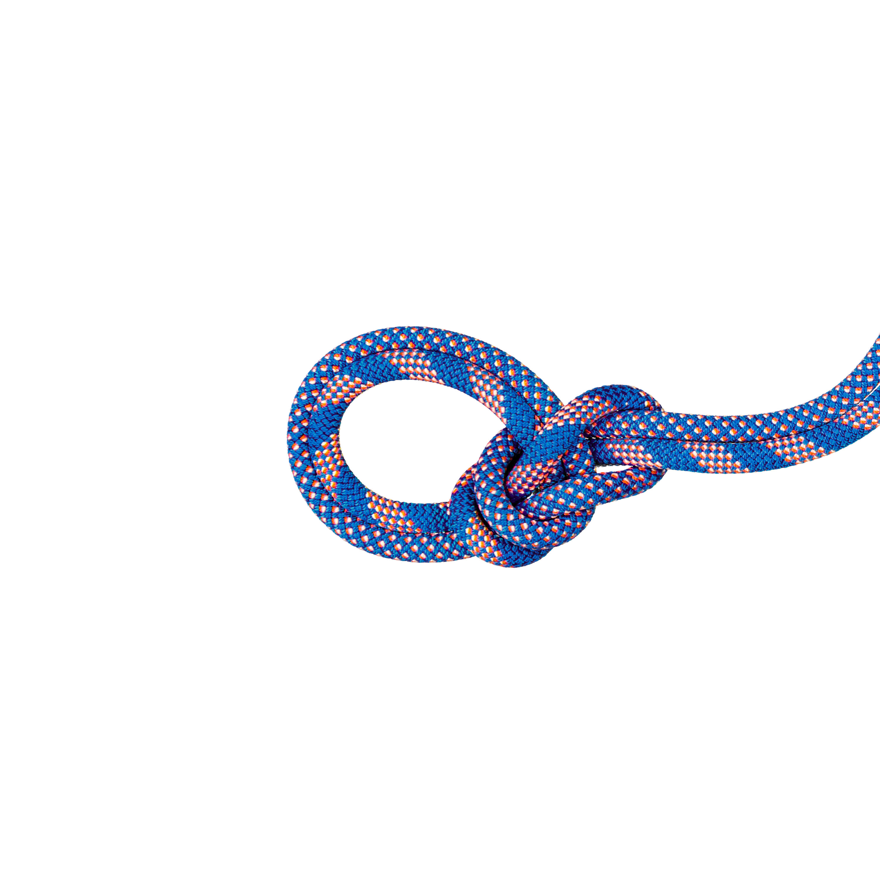 MAMMUT picture