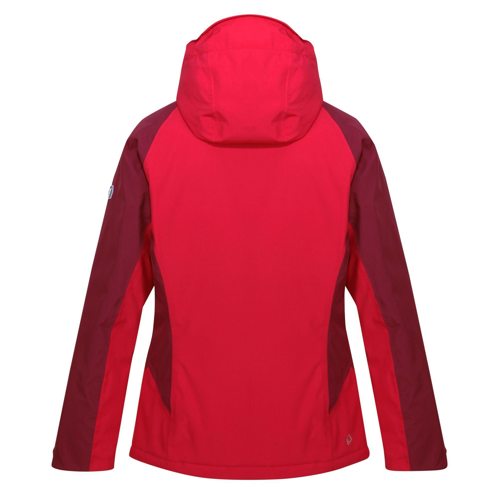 Veste Matelassée HIGHTON Femme (Cerise Foncé / Violet Fuchsia) 2/5