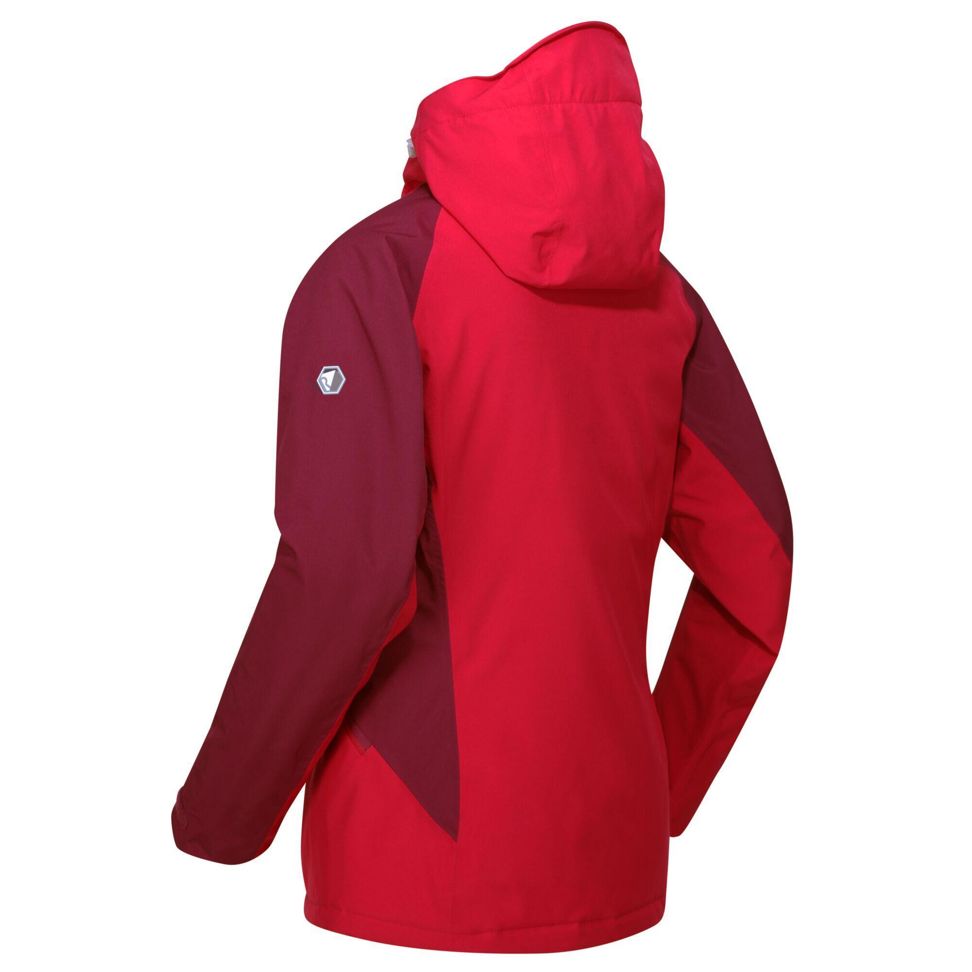 Veste Matelassée HIGHTON Femme (Cerise Foncé / Violet Fuchsia) 3/5