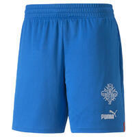 Short Islande 22/23 Replica Homme PUMA