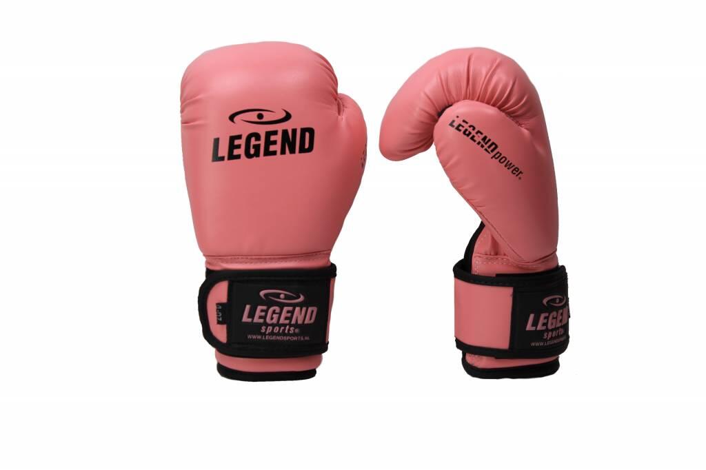 Guantoni boxe bambino Little Legend 4/5