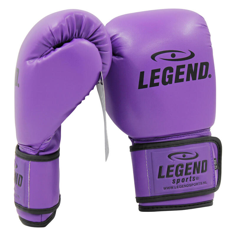 Powerfit & Protect Gants de Boxe Homme/Femme Violet PU