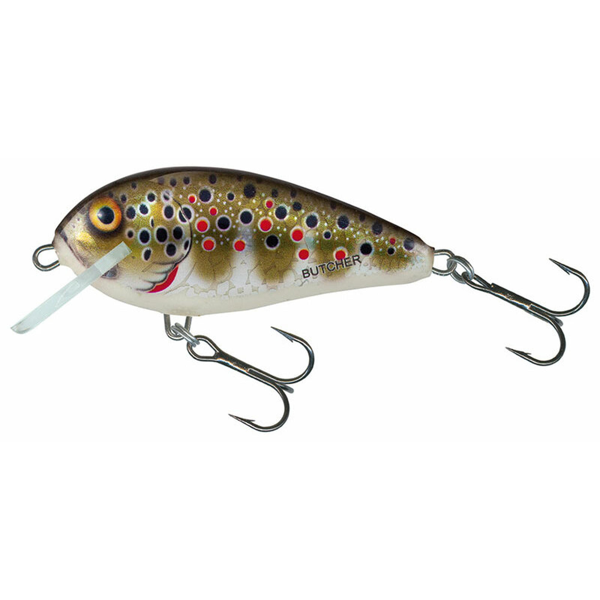 SALMO picture