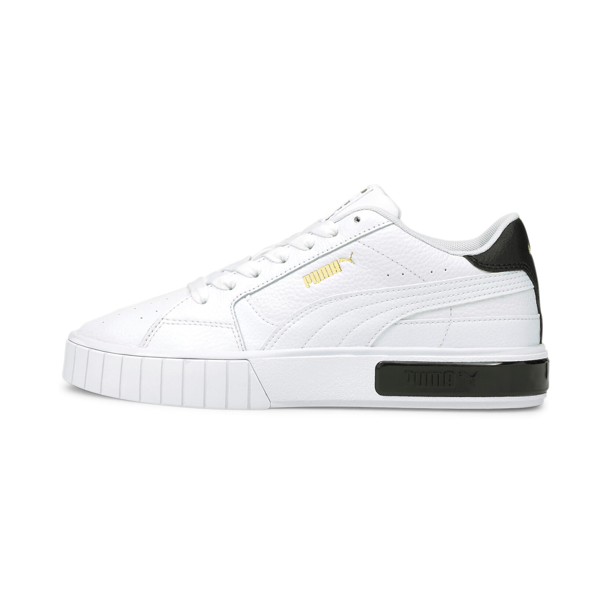 PUMA picture