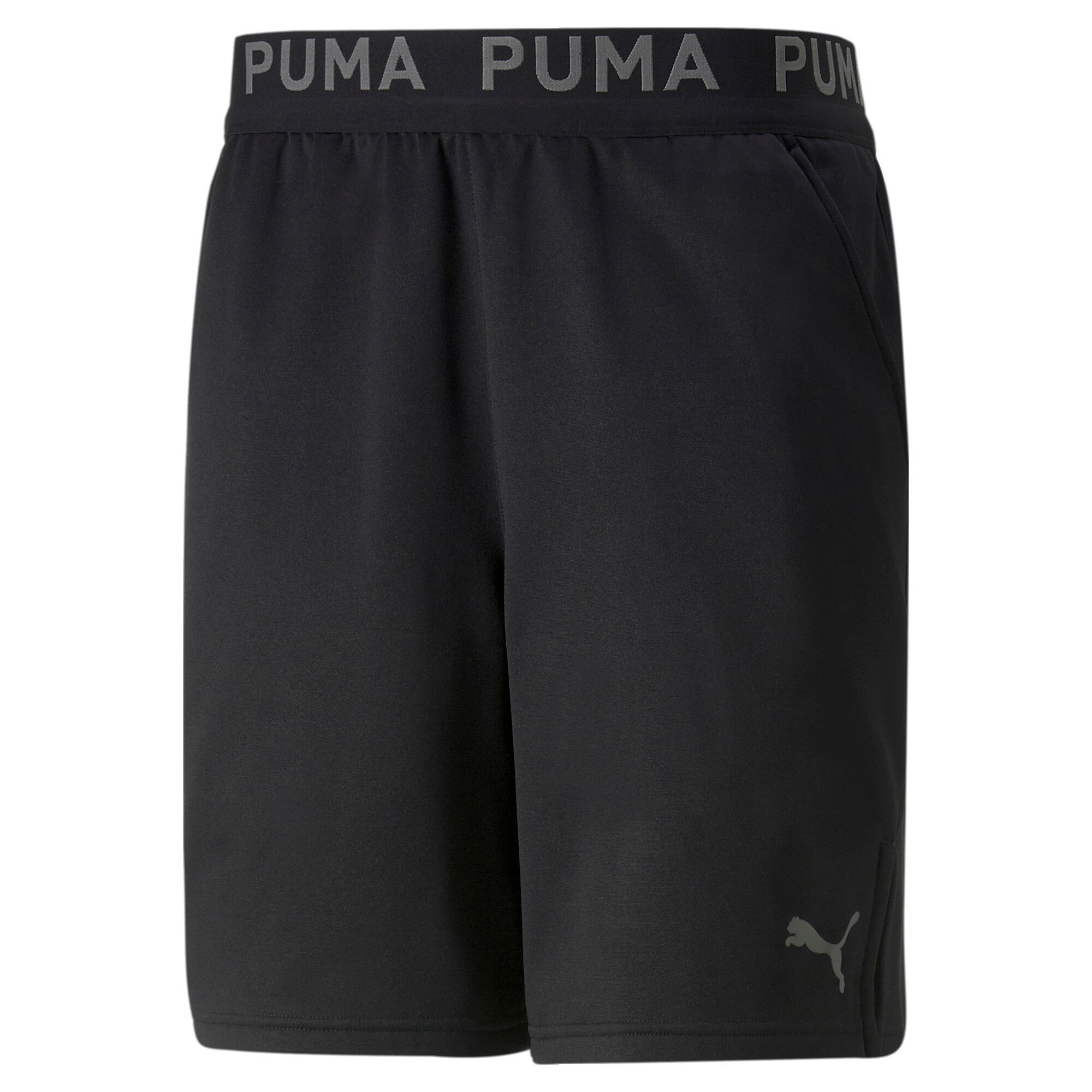 PUMA picture