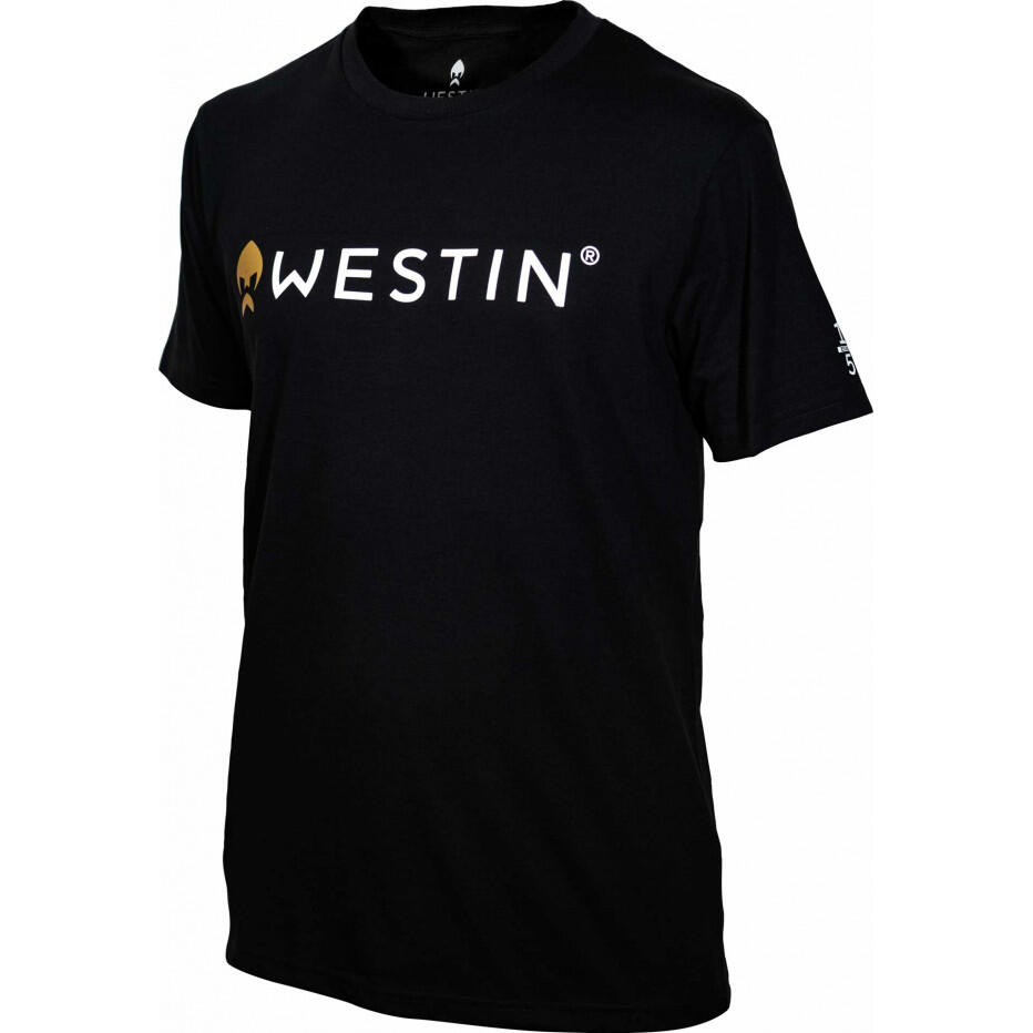 WESTIN picture