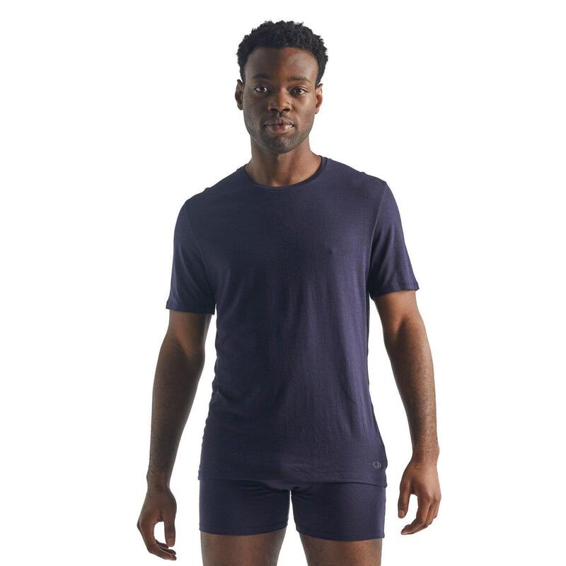 Koszulka męska Icebreaker Anatomica SS Crewe Snow T-Shirt