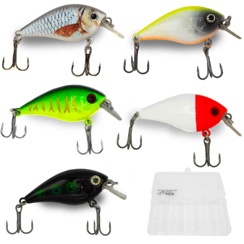 Wobbler Set 5 Crankbait Kunstköder Angeln 6,5g 5,5cm in Box