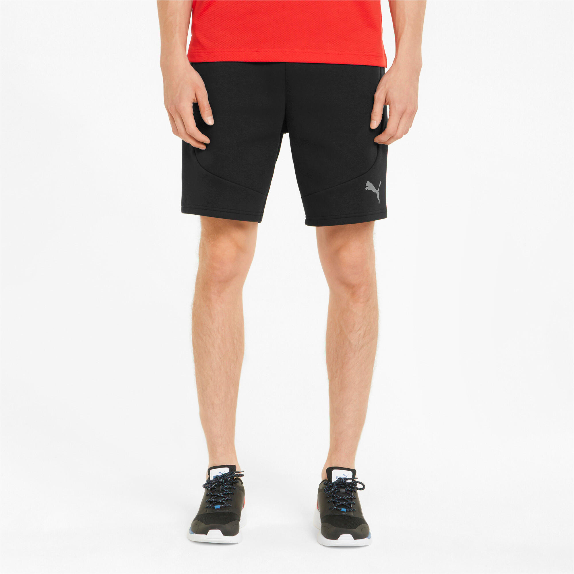 PUMA picture
