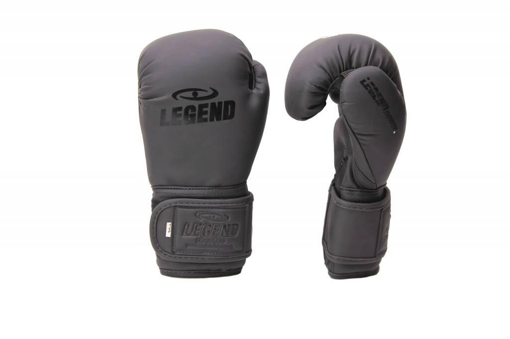 Guantoni boxe bambino 4-8 Anni PU 4/5