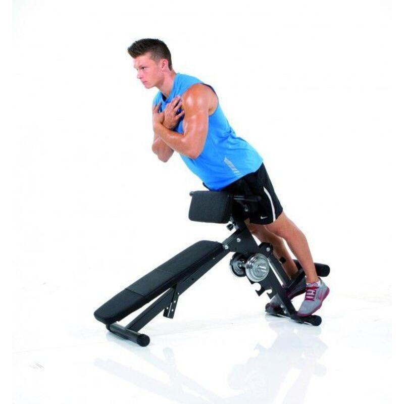 HAMMER Finnlo Trainer Ab&Back